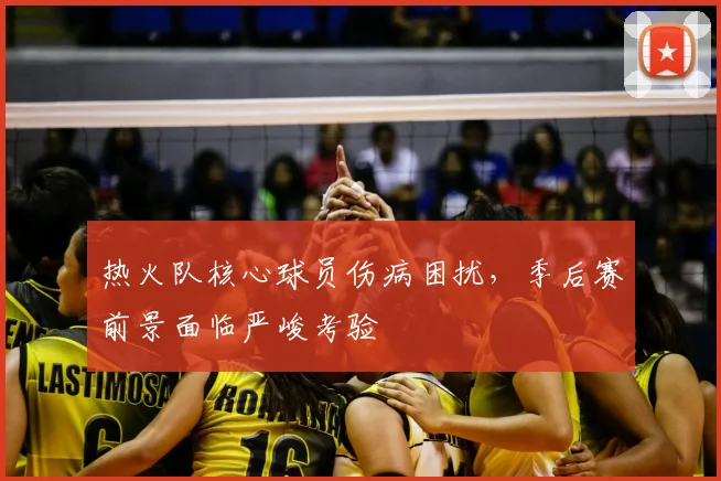 热火队核心球员伤病困扰,季后赛前景面临严峻考验
