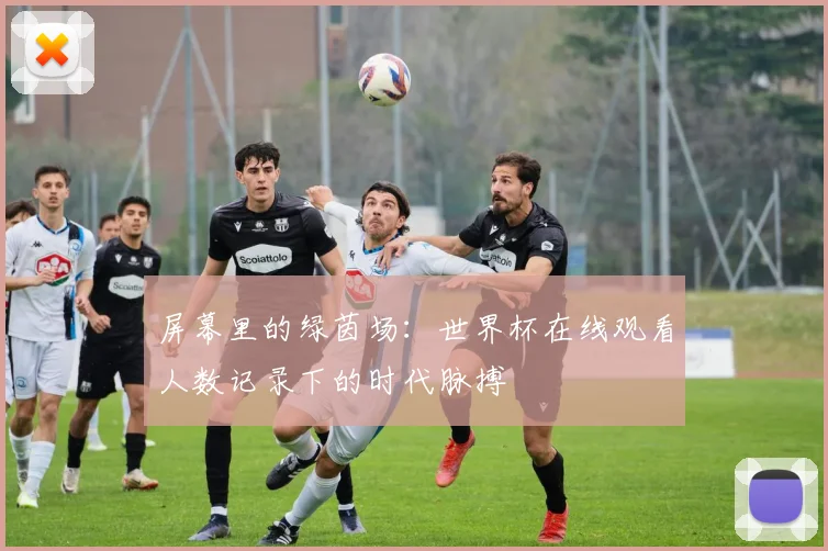 屏幕里的绿茵场：世界杯在线观看人数记录下的时代脉搏