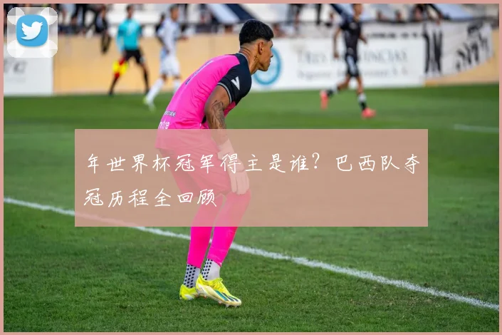 年世界杯冠军得主是谁？巴西队夺冠历程全回顾