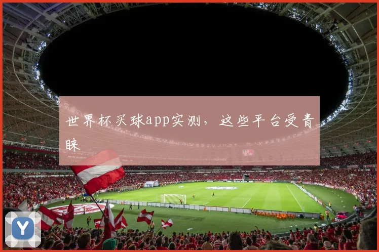 世界杯买球app实测，这些平台受青睐