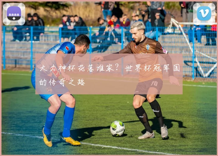 大力神杯花落谁家？世界杯冠军国的传奇之路