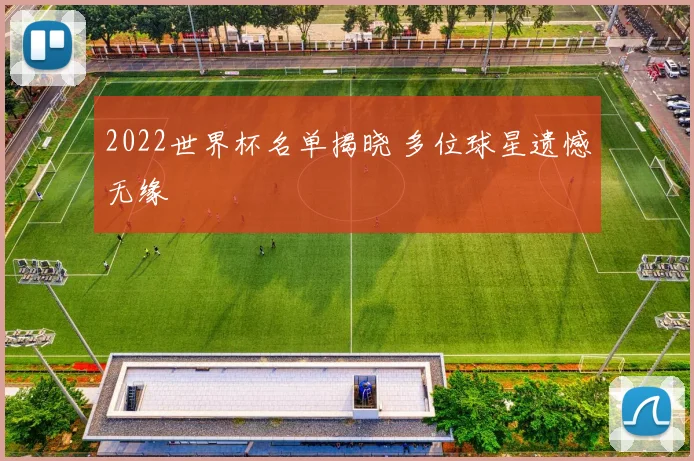 2022世界杯名单揭晓 多位球星遗憾无缘