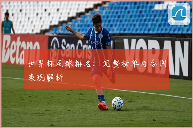 世界杯足球排名:完整榜单与各国表现解析