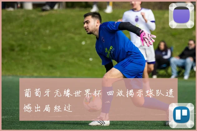 葡萄牙无缘世界杯 回放揭示球队遗憾出局经过