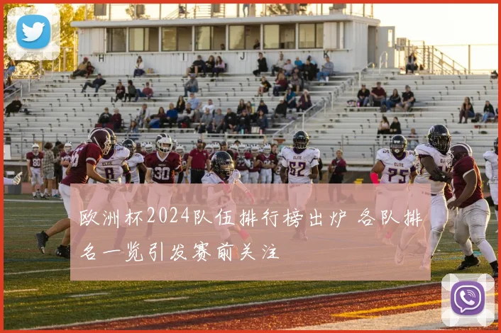 欧洲杯2024队伍排行榜出炉 各队排名一览引发赛前关注