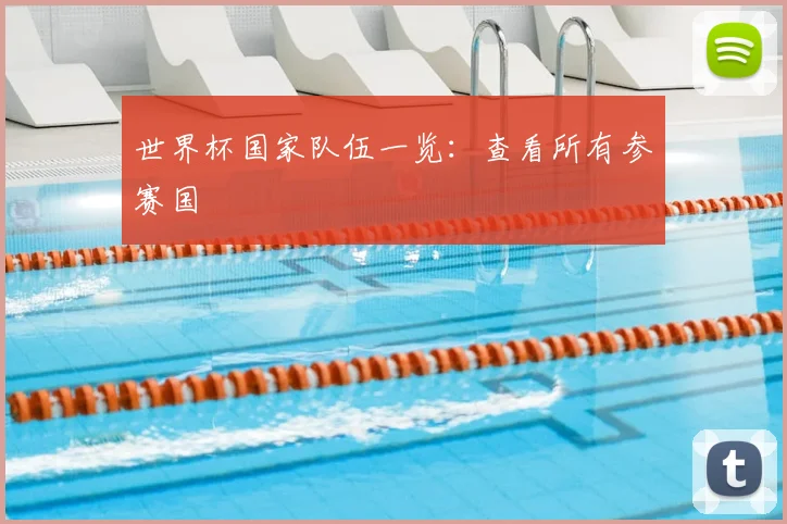 世界杯国家队伍一览：查看所有参赛国
