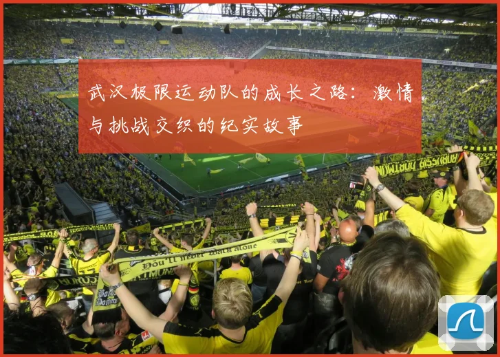 武汉极限运动队的成长之路:激情与挑战交织的纪实故事