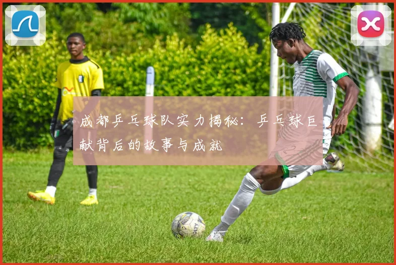 成都乒乓球队实力揭秘：乒乓球巨献背后的故事与成就