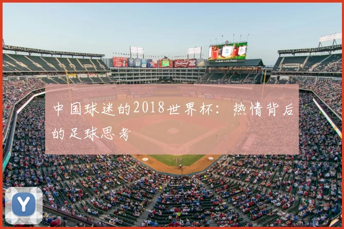 中国球迷的2018世界杯:热情背后的足球思考