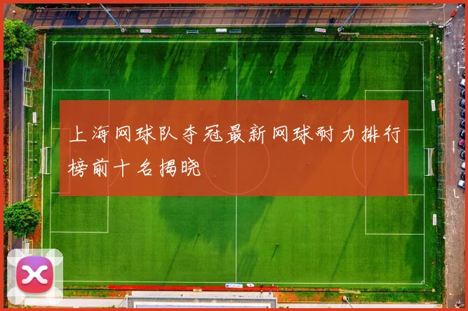 上海网球队夺冠最新网球耐力排行榜前十名揭晓