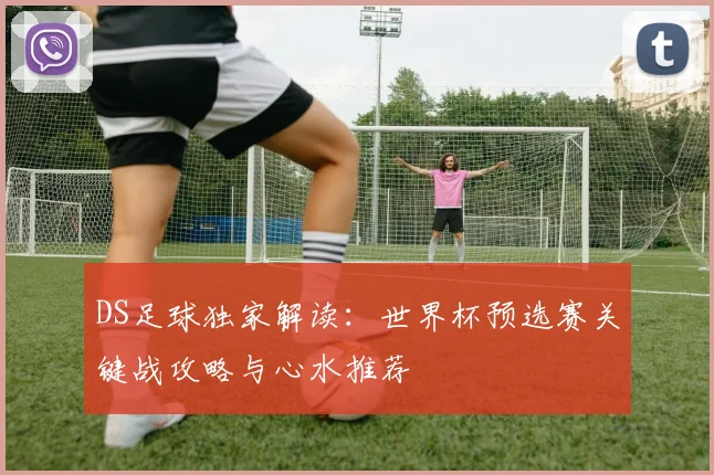 DS足球独家解读：世界杯预选赛关键战攻略与心水推荐