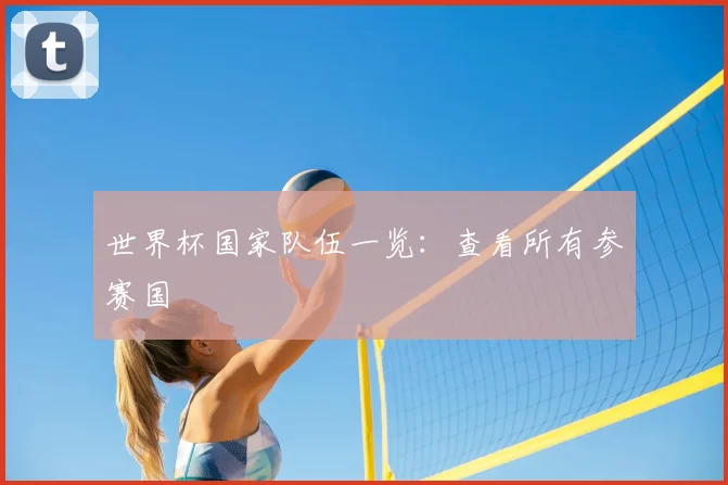 世界杯国家队伍一览:查看所有参赛国