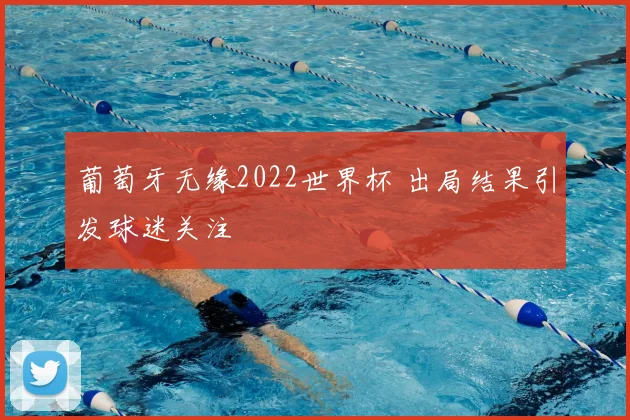 葡萄牙无缘2022世界杯 出局结果引发球迷关注