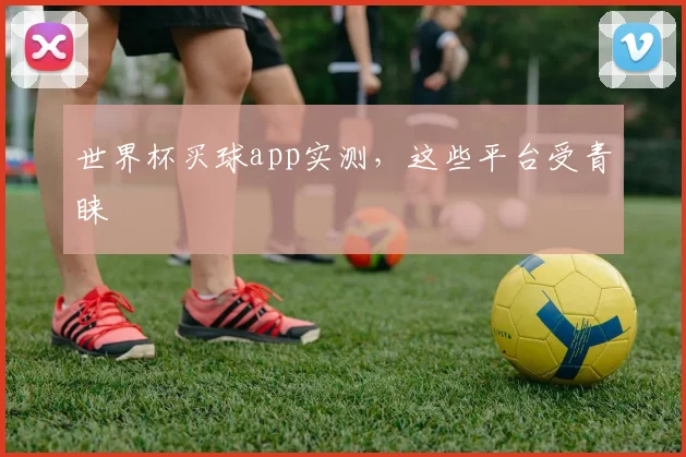 世界杯买球app实测，这些平台受青睐