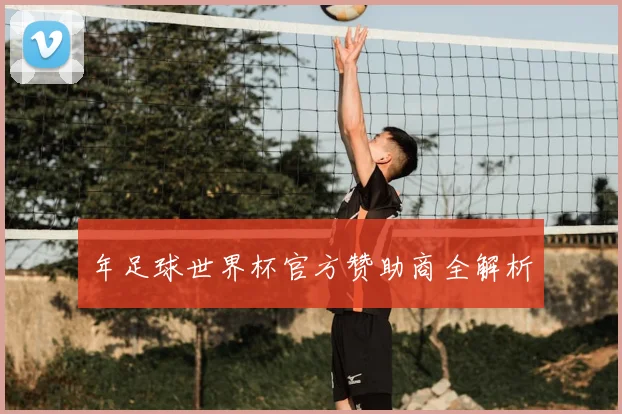 年足球世界杯官方赞助商全解析
