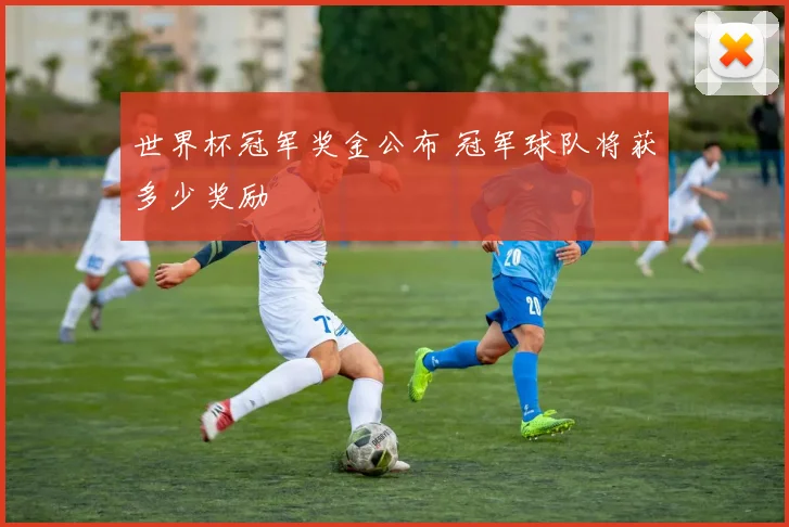 世界杯冠军奖金公布 冠军球队将获多少奖励