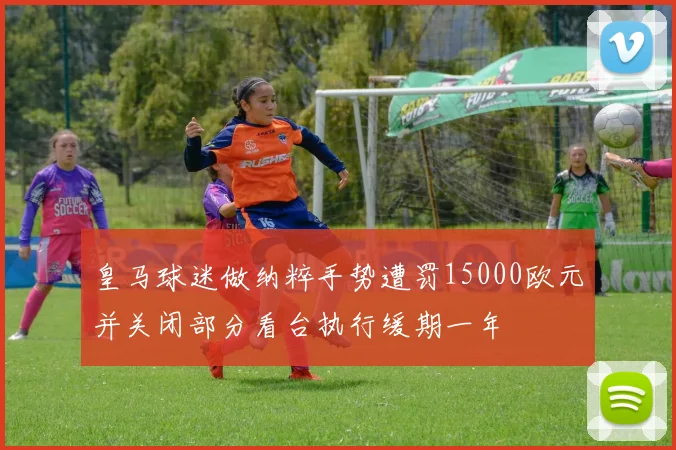 皇马球迷做纳粹手势遭罚15000欧元并关闭部分看台执行缓期一年