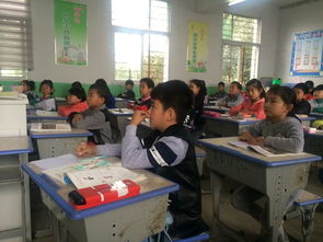 大通区教育督学第三站 深入马厂中心学校开展教育咨询服务