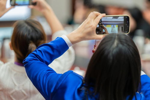 国际职业教育研究院与北京润月禧管理咨询联合举办2023届“喂爱工程”学术会议，共商教育咨询服务新未来